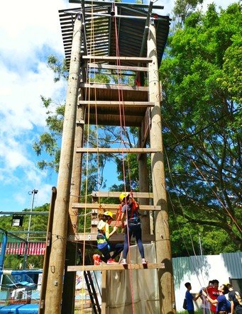 Giant Ladder 2